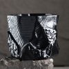 Pot Succulent Agave Cactus Obsidian Series - V2