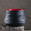 Pot Succulent Agave Cactus Obsidian Series - V1