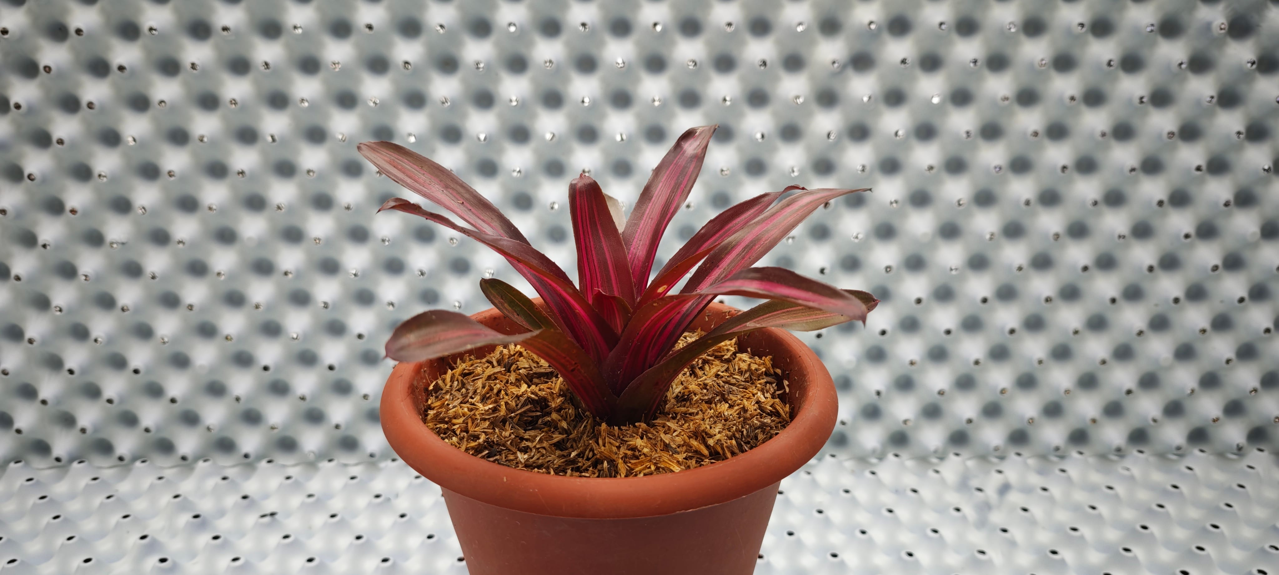 IMG_20260519_101546