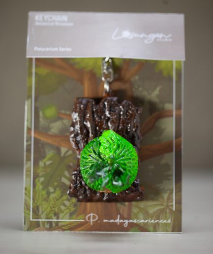 Gantungan Kunci Platycerium 3D Print | Madagascariense |