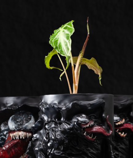 Pot Venom
