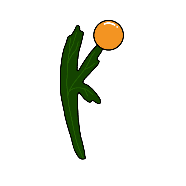 Kebon.co