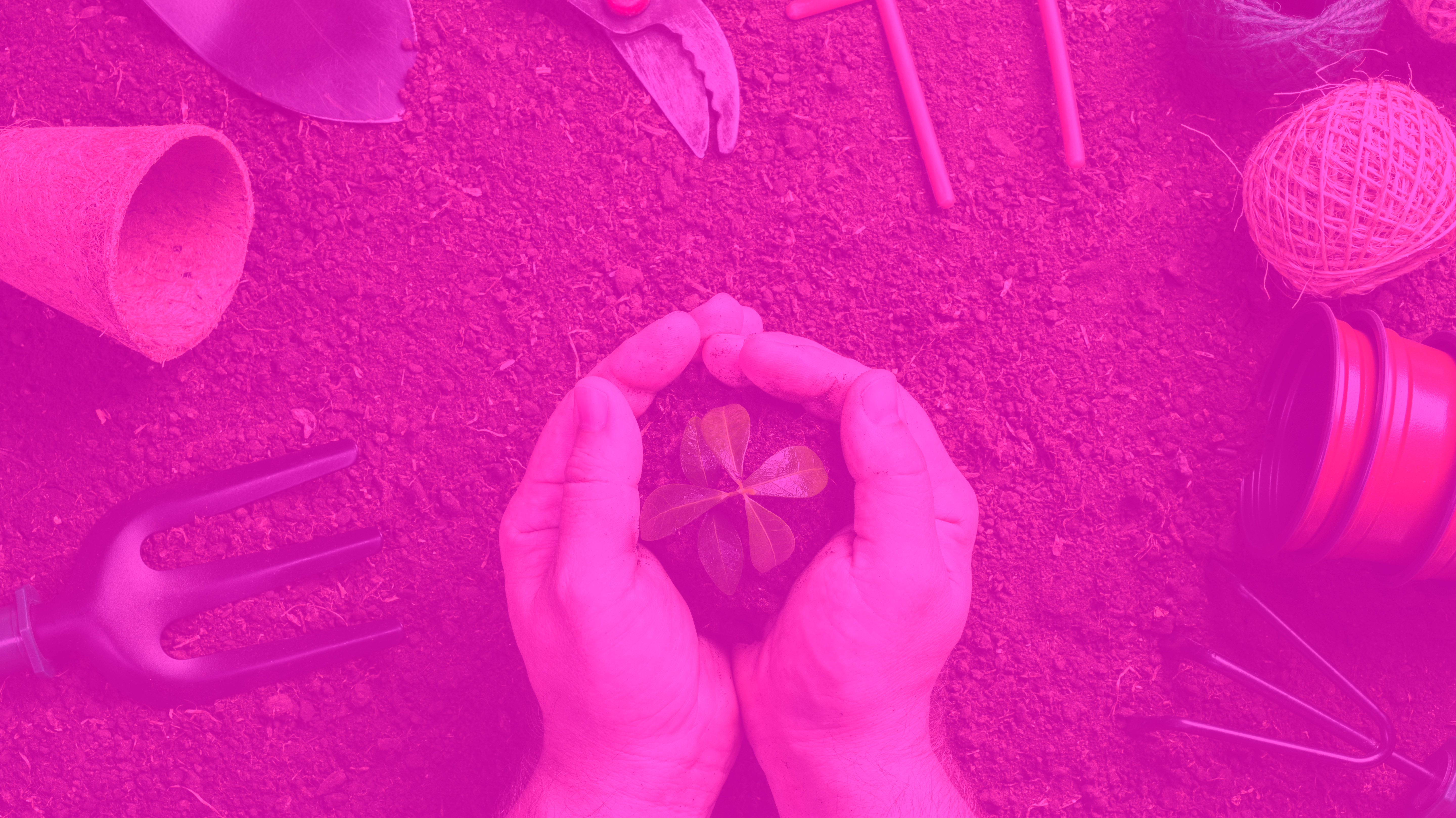 top-view-gardening-tools-ground