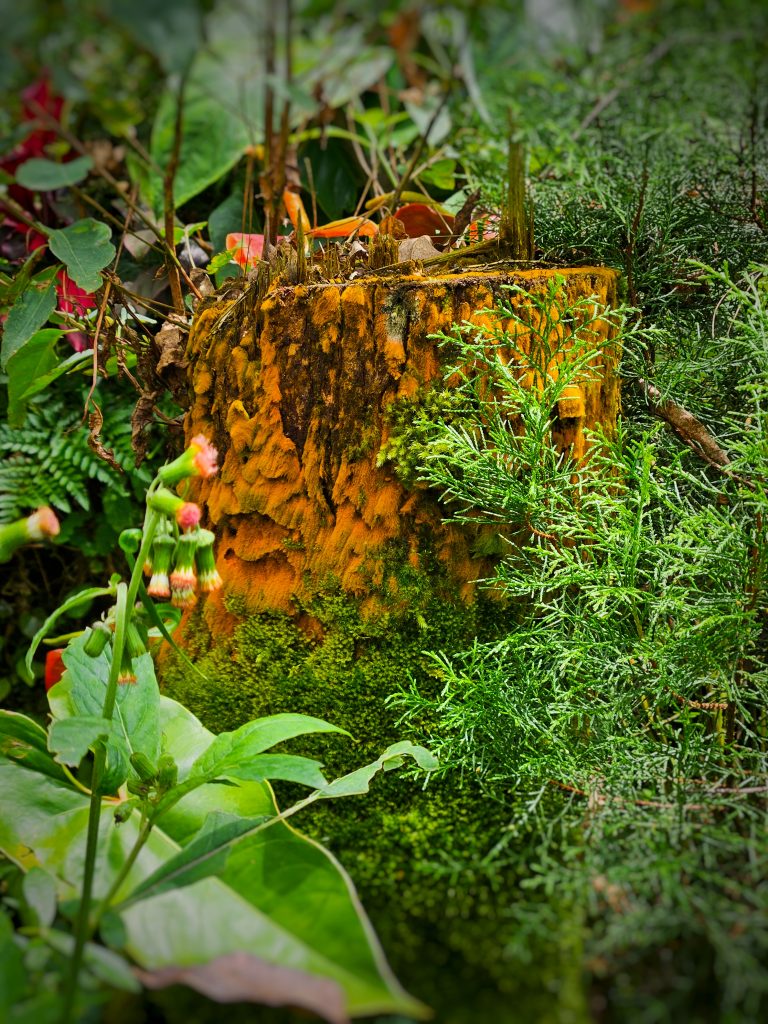 The Hidden Ecosystem